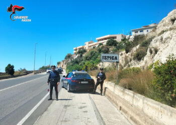 Ispica, incendia alberi di carrubo: denunciato tunisino senza fissa dimora