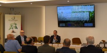 Ragusa, come salvare le colture di pomodoro: ecco il progetto