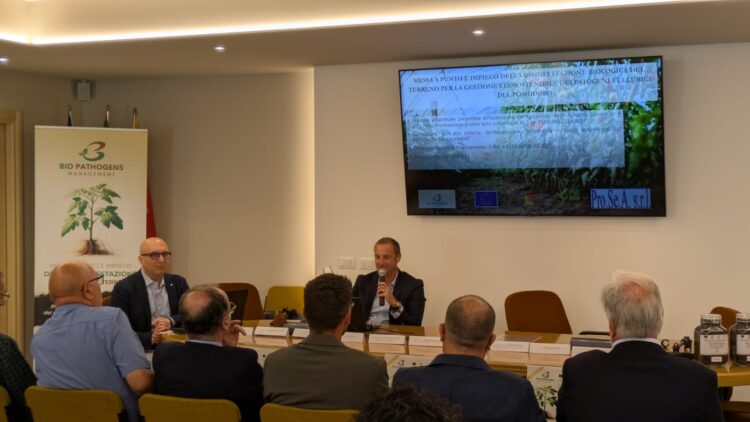 Ragusa, come salvare le colture di pomodoro: ecco il progetto