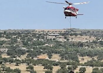 Ispica, una mucca è precipitata in un burrone questa mattina in contrada Martorina