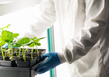 Ragusa e la gestione fitosanitaria della filiera delle ortive, una rete di mini laboratori per minimizzare l’impatto delle malattie sul territorio