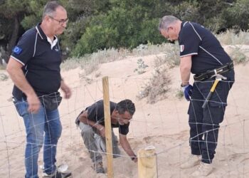 Scicli, le tartarughe marine scelgono Sampieri per il primo nido di stagione