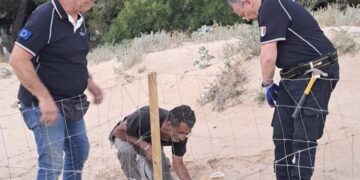 Scicli, le tartarughe marine scelgono Sampieri per il primo nido di stagione