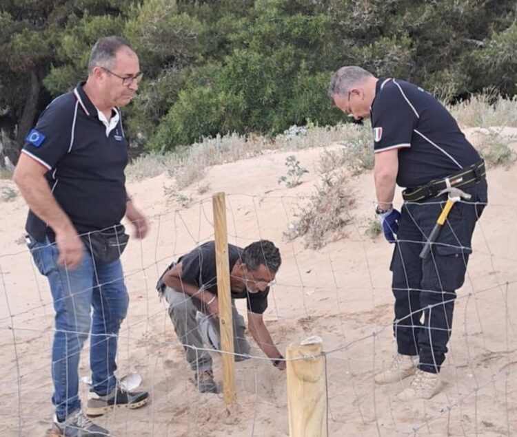 Scicli, le tartarughe marine scelgono Sampieri per il primo nido di stagione