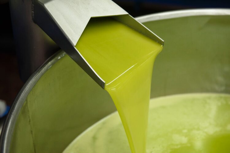 Il consorzio Olio dop Monti iblei in evidenza al concorso Ercole Olivario 2025