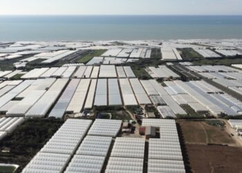 Ragusa, smaltire in modo corretto le biomasse di scarto derivanti dalla lavorazione del pomodoro: c’è un progetto