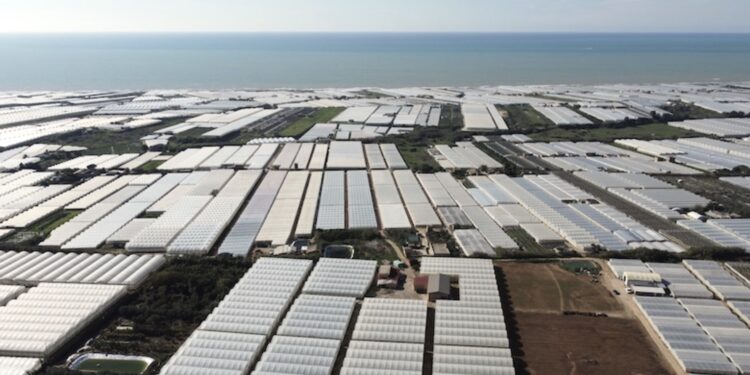 Ragusa, smaltire in modo corretto le biomasse di scarto derivanti dalla lavorazione del pomodoro: c’è un progetto