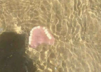 Marina di Ragusa e il degrado, dentiera abbandonata in acqua a due passi dalla riva