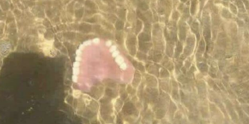 Marina di Ragusa e il degrado, dentiera abbandonata in acqua a due passi dalla riva