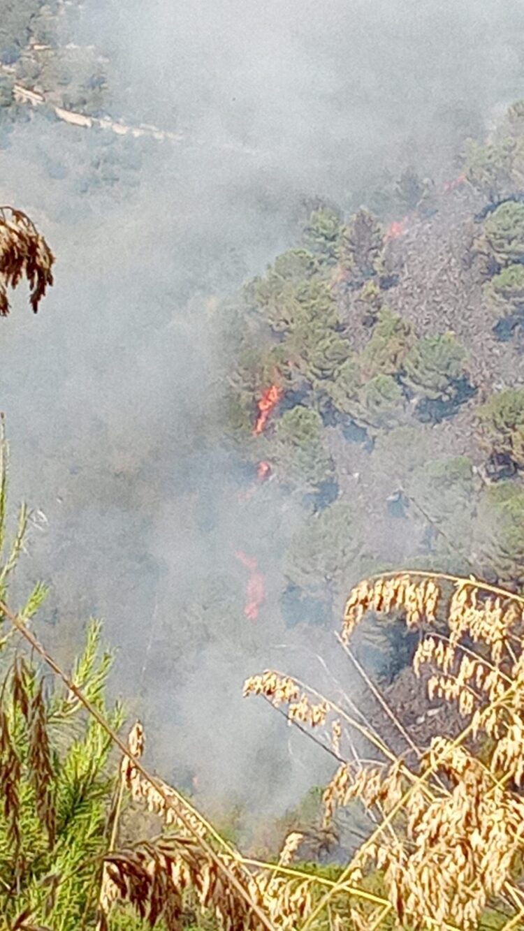 Monterosso, vasto incendio in contrada Casasia