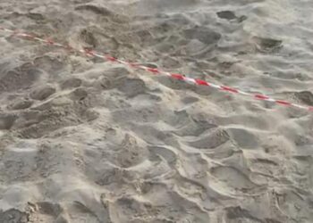 Marina di Modica, primo nido per questa estate di tartarughe marine