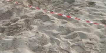 Marina di Modica, primo nido per questa estate di tartarughe marine