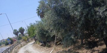 Playa Grande (Scicli), pali della luce divelti: intervento di messa in sicurezza