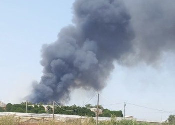 Fiamme a Randello, un intero vivaio in cenere