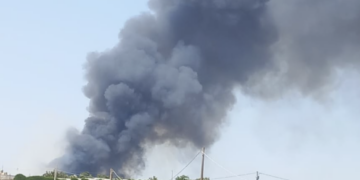 Fiamme a Randello, un intero vivaio in cenere