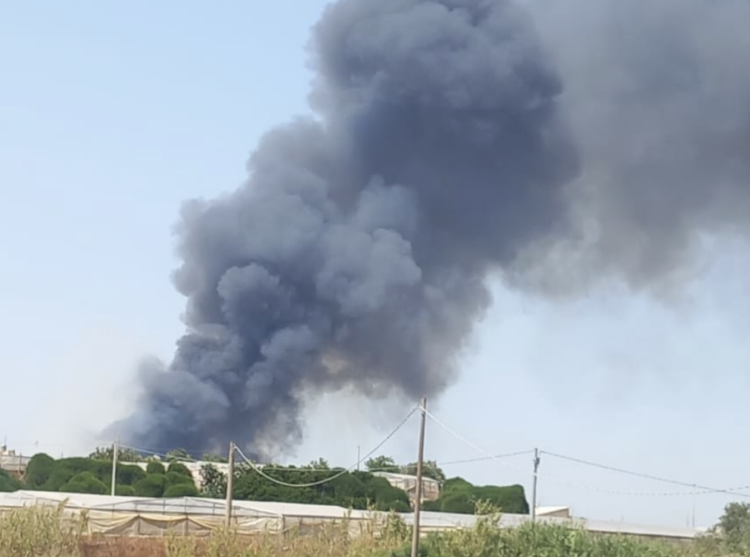 Fiamme a Randello, un intero vivaio in cenere