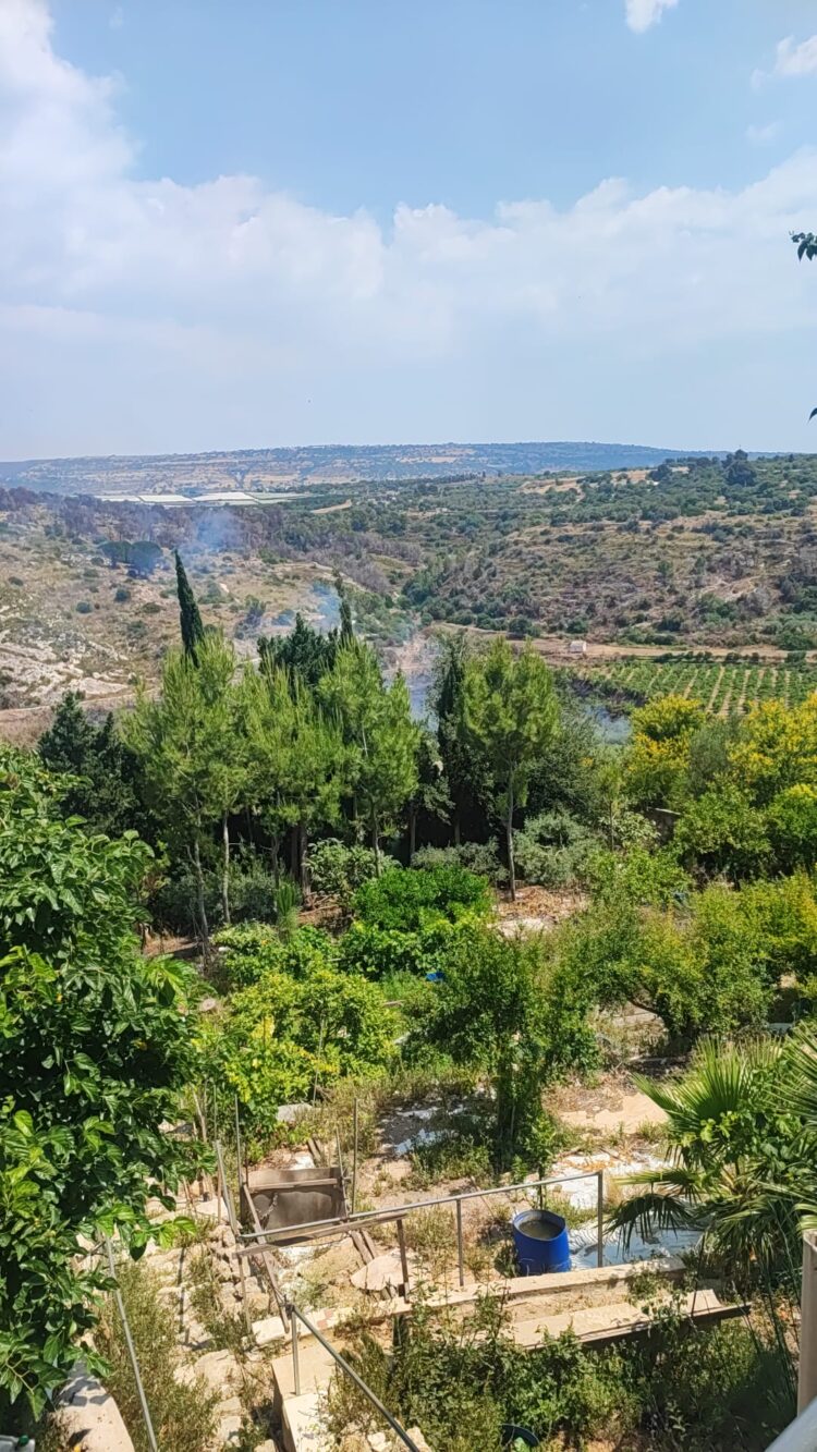 Valle dell’Ippari ancora in fiamme. Evacuata a Vittoria la villa comunale