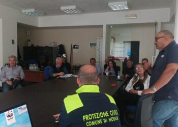 Ispica, un corso per proteggere i nidi delle tartarughe Caretta caretta