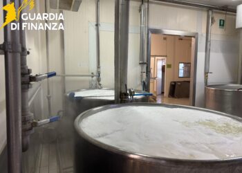 Latte maltese spacciato per siciliano: scoperta maxifrode nel Ragusano