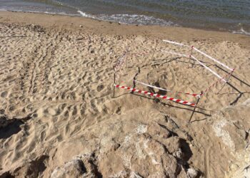 Nido di Caretta caretta nella riserva del fiume Irminio