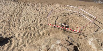 Nido di Caretta caretta nella riserva del fiume Irminio