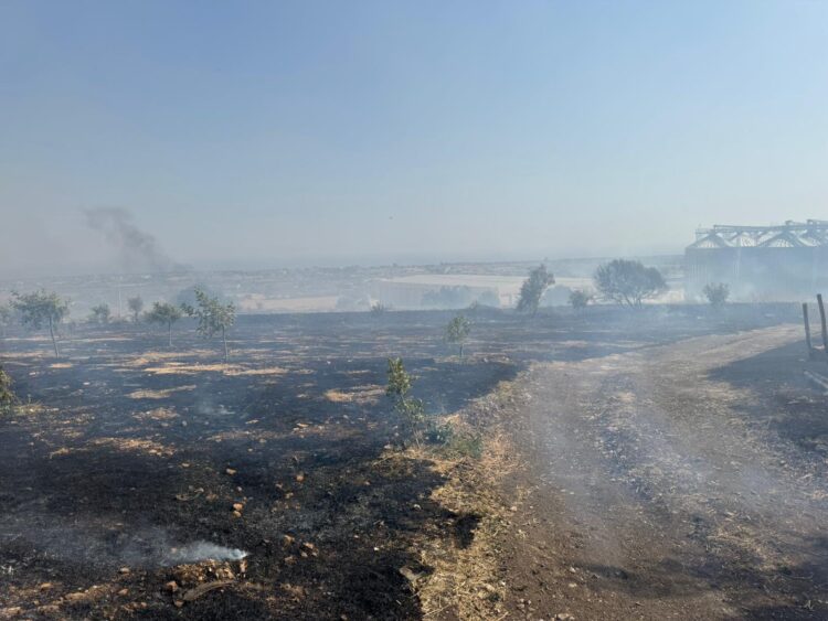 Modica, domato il rogo che ha devastato la periferia cittadina