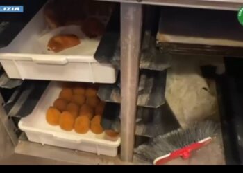 Aeroporto di Catania, blatte nei banconi e cibo non tracciato