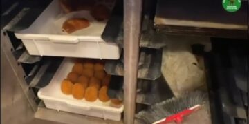 Aeroporto di Catania, blatte nei banconi e cibo non tracciato
