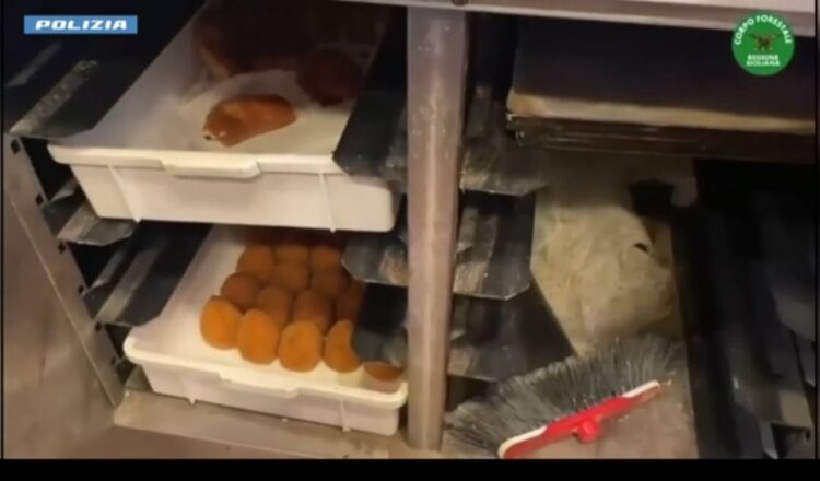 Aeroporto di Catania, blatte nei banconi e cibo non tracciato