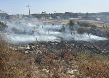 Modica, dopo il rogo parlano le aziende: “In fumo otto anni di cure”