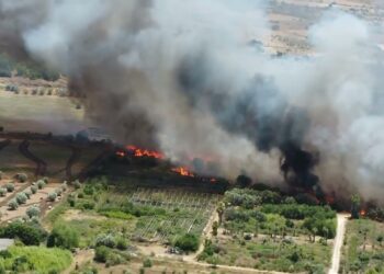 Incendi a Modica, Cna agroalimentare in campo