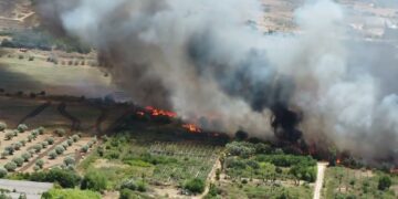 Incendi a Modica, Cna agroalimentare in campo