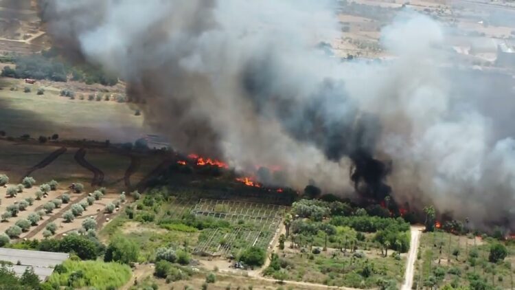 Incendi a Modica, Cna agroalimentare in campo