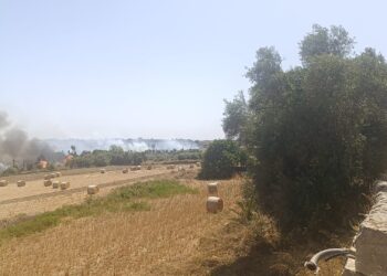 Modica, vasto incendio in periferia: il rogo ha preso di mira il vivaio Careno