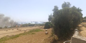 Modica, vasto incendio in periferia: il rogo ha preso di mira il vivaio Careno