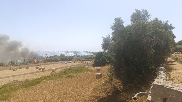 Modica, vasto incendio in periferia: il rogo ha preso di mira il vivaio Careno