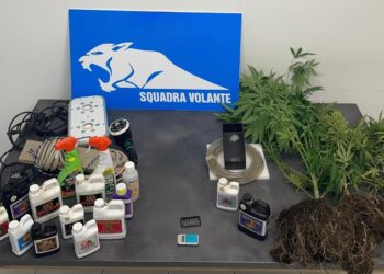 Modica, coltivava marijuana sul balcone: arrestato un trentenne