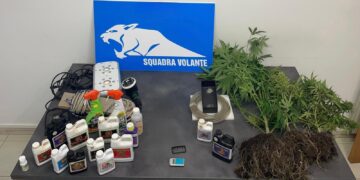 Modica, coltivava marijuana sul balcone: arrestato un trentenne