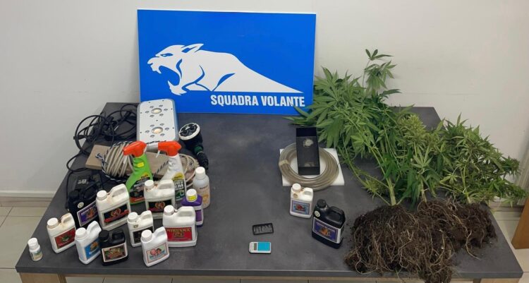 Modica, coltivava marijuana sul balcone: arrestato un trentenne