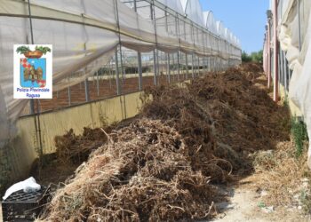 Giro di vite contro le fumarole, ecco i risultati ottenuti dal Libero consorzio