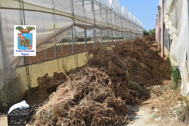 Giro di vite contro le fumarole, ecco i risultati ottenuti dal Libero consorzio