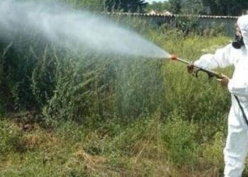 Ragusa, ecco le date e le aree in cui sarà effettuata la disinfestazione
