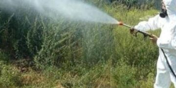 Ragusa, ecco le date e le aree in cui sarà effettuata la disinfestazione