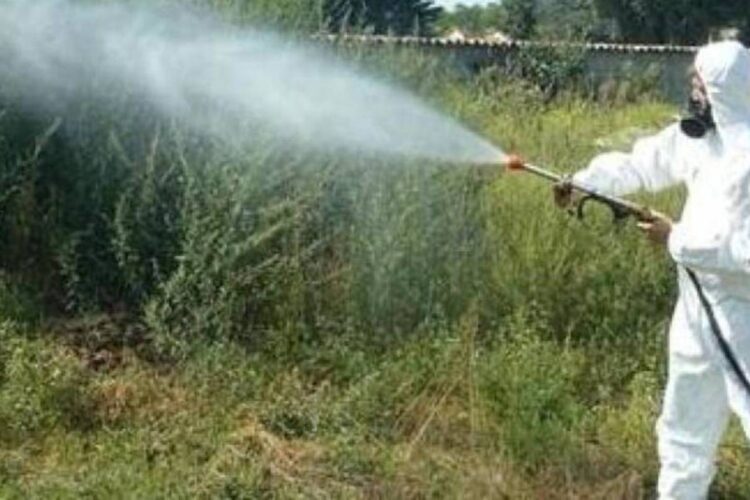 Ragusa, ecco le date e le aree in cui sarà effettuata la disinfestazione