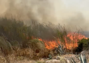 Rogo spaventoso, tre squadre dei vigili del fuoco in azione a Marina di Modica