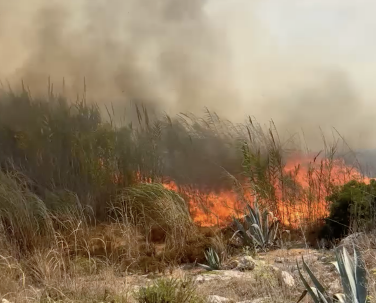 Rogo spaventoso, tre squadre dei vigili del fuoco in azione a Marina di Modica