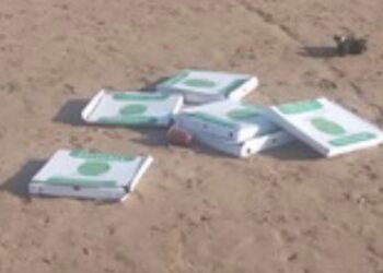 Donnalucata, mangia la pizza in spiaggia e abbandona i cartoni sull’arenile: individuata e sanzionata