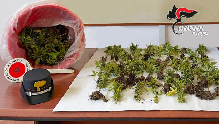 Vittoria, nella serra coltivava stupefacenti: arrestato un giovane di 23 anni