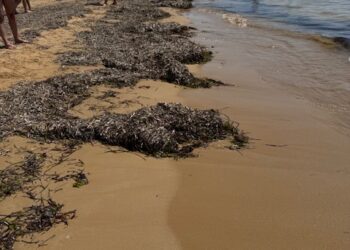 Paura a Sampieri, dodici ragazzi a mare salvati dalla Guardia costiera