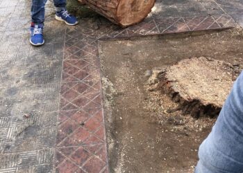 Vittoria, Fare Verde: “Siamo un comune dealberizzato”